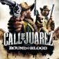 Velmistr Logiky za měsíc říjen o PC hru Call of Juarez: Bound in Blood