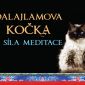 Vyhrajte knihu Dalajlamova kočka a síla meditace!