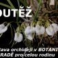 SOUTĚŽ O VSTUPENKY na výstavu orchidejí do BOTANICKÉ ZAHRADY