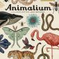 Soutěž o knihu Animalium