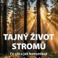 Soutěž o tři knihy Tajný život stromů